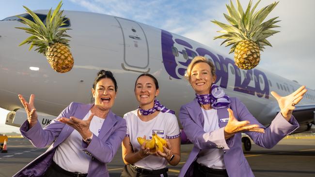 Bonza airlines has launched cheap flights from Sunshine Coast to Coffs Harbour.