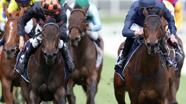 Vegas Jewel (left) is a big chance in Race 8 at Kembla. Picture: Micheal Klein