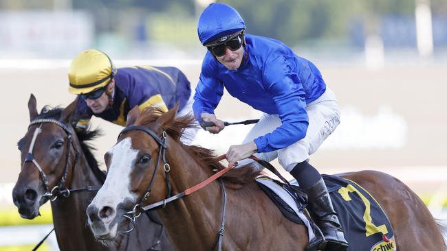 Cascadian is the favourite for the Group 1 Northerly Stakes at Ascot on Saturday. Picture: Mark Evans-Getty Images