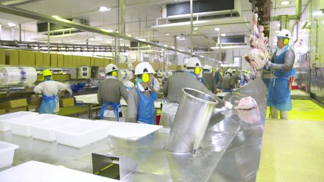 Teys Australia abattoir at Naracoorte. Picture: ABC News