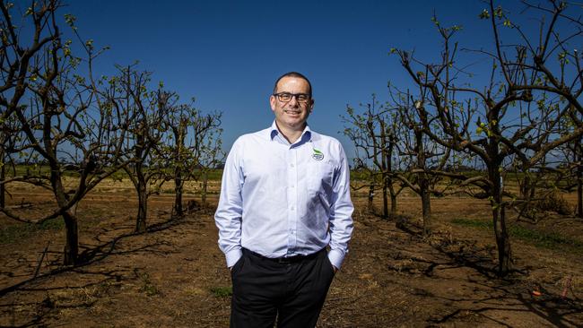 When Di Pietro left university he started working for his parents in their wholesale fresh produce business.