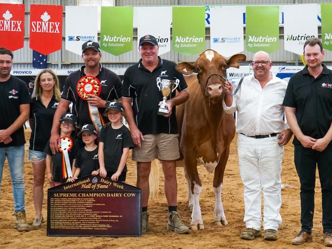 Lightning Ridge Cmd Dback Barbara, Instyle And Rusty Red, from Simpson, won Australia's Supreme Champion. Picture: Rachel Simmonds