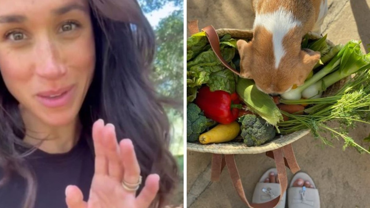‘Must be a wizard’: Meghan’s post mocked