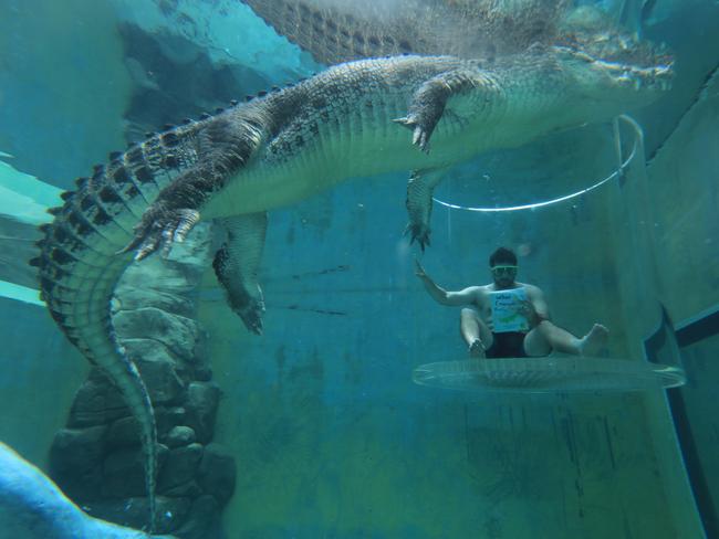 NT librarian PJ Andrews read a local novel inside the Crocosaurus Cove Cage of Death to encourage participation in Australian Reading Hour. Picture: Crocosaurus Cove.