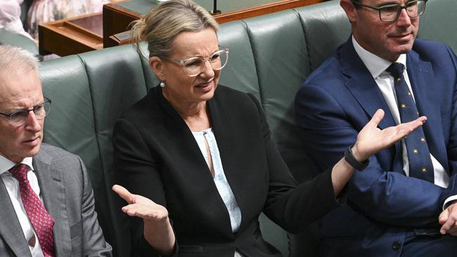 Deputy Leader of the Opposition Sussan Ley. Picture: NCA NewsWire/Martin Ollman