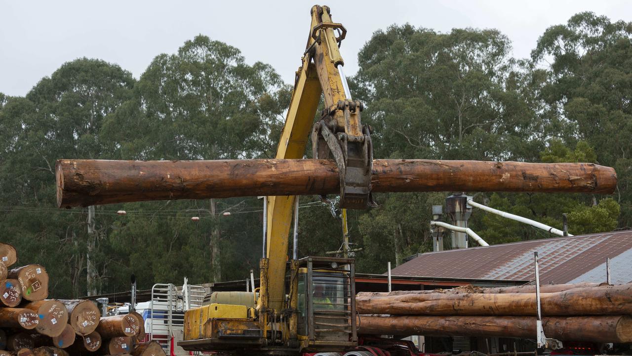 Timber industry: Environmental groups take legal action on logging