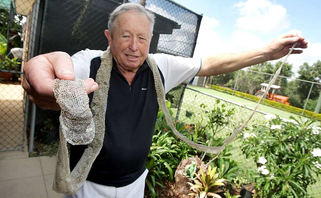 Bob Brinsmead, founder of Tropical Fruit World, with the 2.7 metre skin he found on his property. He believes it came from a deadly eastern brown snake. Picture: Crystal Spencer