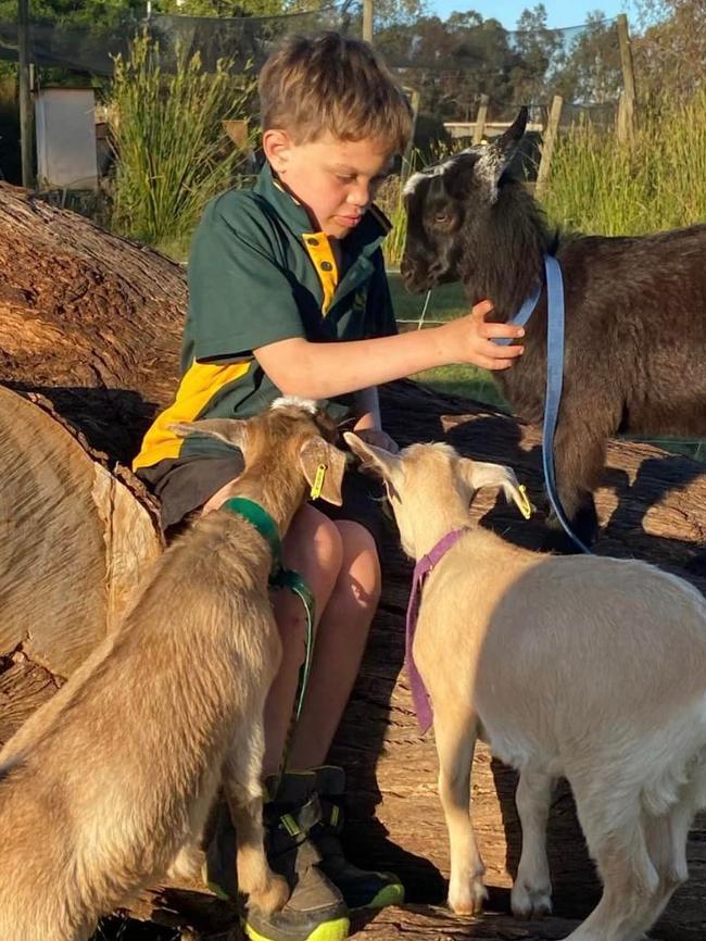 Bodhi loves spending time with the farm animals. Picture: Supplied