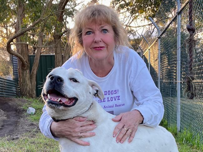 Julie-Ann Ehrlich and Wilber at her Country Companion Animal Rescue in Helensburgh on Thursday, June 16, 2022. Picture: Dylan Arvela