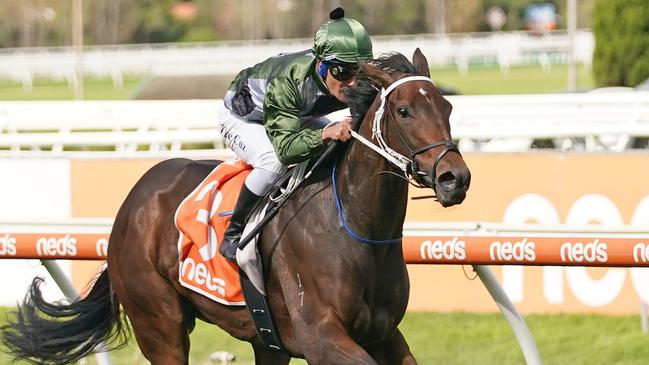 Brookspire looks hard to beat from a good draw at Randwick on Saturday. Picture: Getty Images
