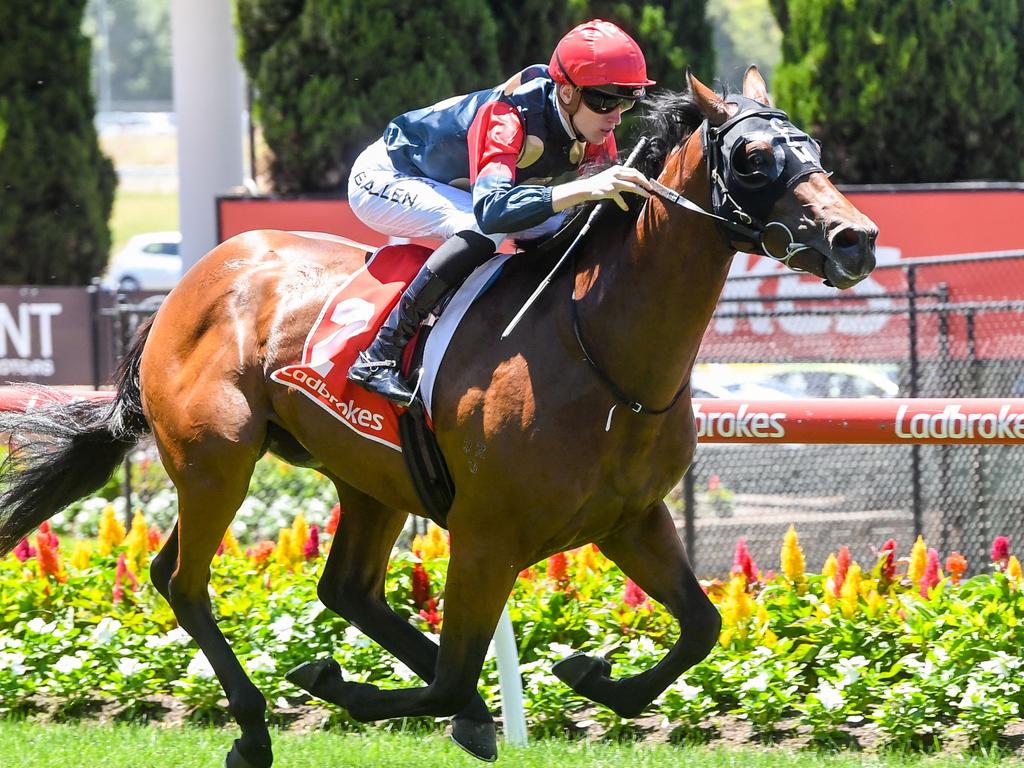 Ciaron Maher assesses each of his 11 runners at Caulfield - Racenet