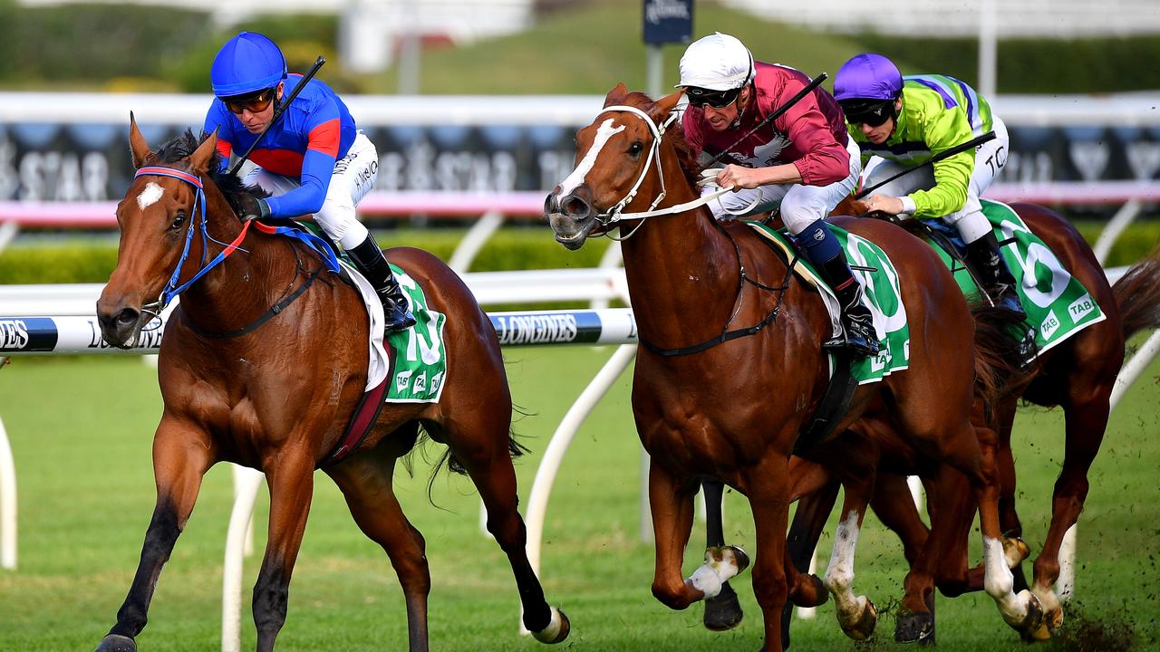 Tejori (left) looks a good chance at Kensington for trainer Nick Olive. Picture: AAP Image