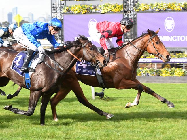 Sneaky Sunrise ridden by Daniel Stackhouse wins the Ken Cox Handicap at Flemington Racecourse on June 22, 2024 in Flemington, Australia. (Photo by Brett Holburt/Racing Photos via Getty Images)