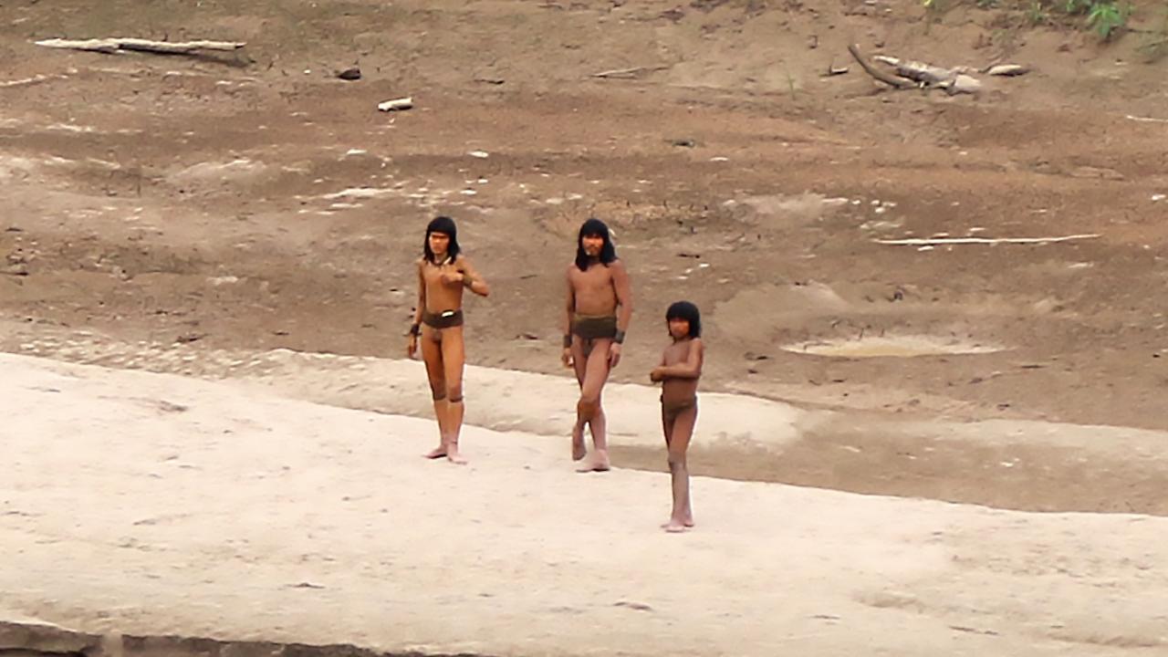 The tribe has been seen coming out of the rainforest more frequently in search of food. Picture: Survival International