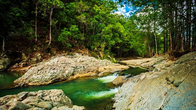 Currumbin Valley