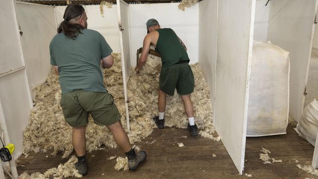 The fitness gained from shearing is different to that built in a gym. Picture: Gary Ramage