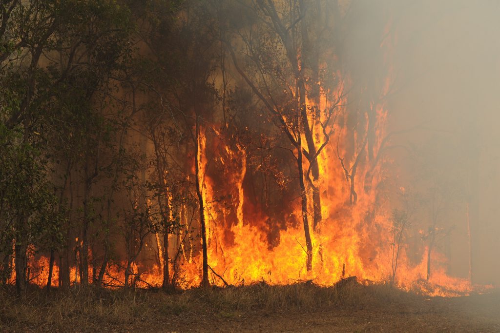 Mt Archer National Park burn planned for today | The Courier Mail