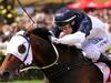 Tarzino ridden by Craig Newitt on the way to victory in race 7 the AAMI Victoria Derby during AAMI Victoria Derby Day at Flemington Racecourse on Saturday, October 31, 2015, in Flemington, Victoria, Australia. DerbyDay15 Picture: Hamish Blair