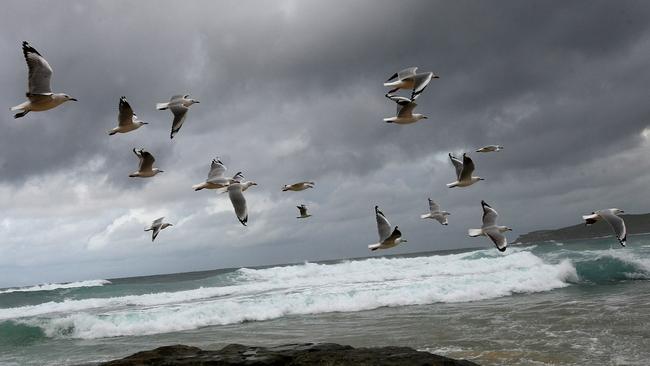 Humidity Gold Coast Today