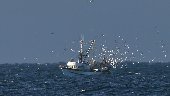 The agreement has allowed five other countries to fish just a few kilometres off the British shore<ld pattern=" "/>                        <source>. Picture: PETER LORIMER</source>                                             <source/>