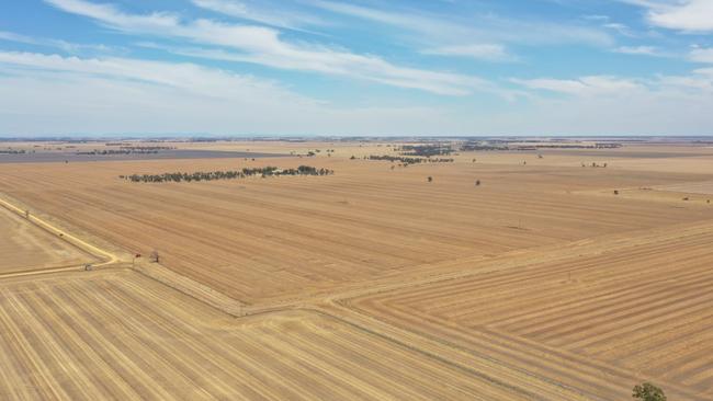 A Western District farming family are selling three more lots of their prized eastern Wimmera cropping portfolio at Laen.