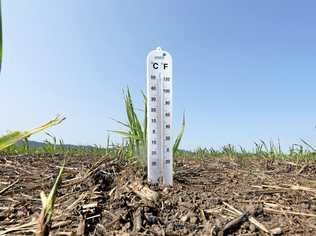 HEATWAVE: Temperatures soar in the North Burnett. Picture: Scott Powick