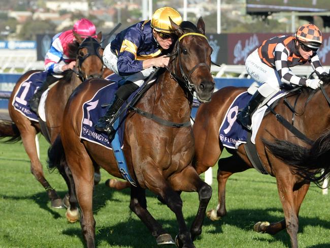 Muramasa ridden by Daniel Moor wins the VRC Member Andrew Aitken Trophy at Flemington Racecourse on September 24, 2023 in Flemington, Australia. (Photo by Ross Holburt/Racing Photos)