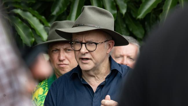 Prime Minster Anthony Albanese at Skyrail Cairns on Wednesday, announcing a financial boost to the Queensland tourism industry in the wake of Cyclone Jasper. Picture: NCA NewsWire/Brian Cassey