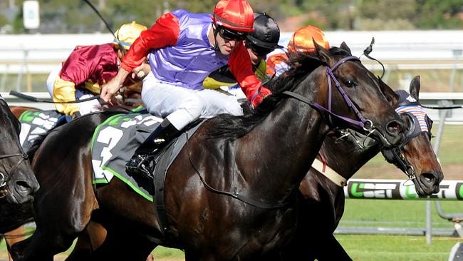 Go Dreaming has worked his way back from injury to make the Caulfield Cup. Picture: Mark Brake