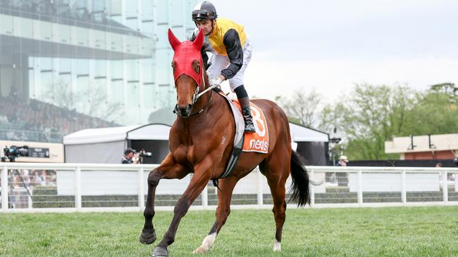 Tokyo Run heads to the barriers before his fifth place finish in the Neds Classic at Caulfield on October 21. Picture: Getty Images