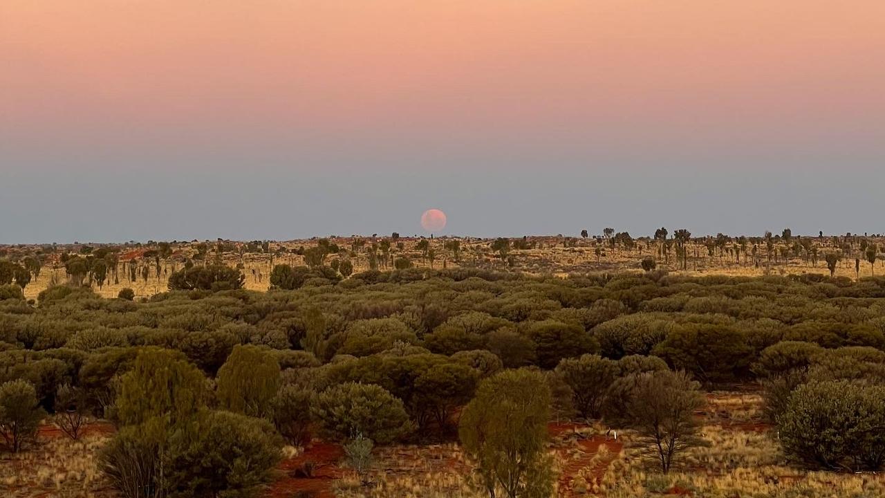 The Wintjiri Wiru viewing platform is surrounded by beauty. Picture: Chantelle Francis