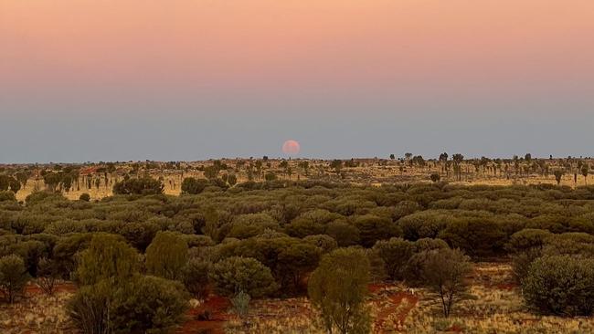 The Wintjiri Wiru viewing platform is surrounded by beauty. Picture: Chantelle Francis