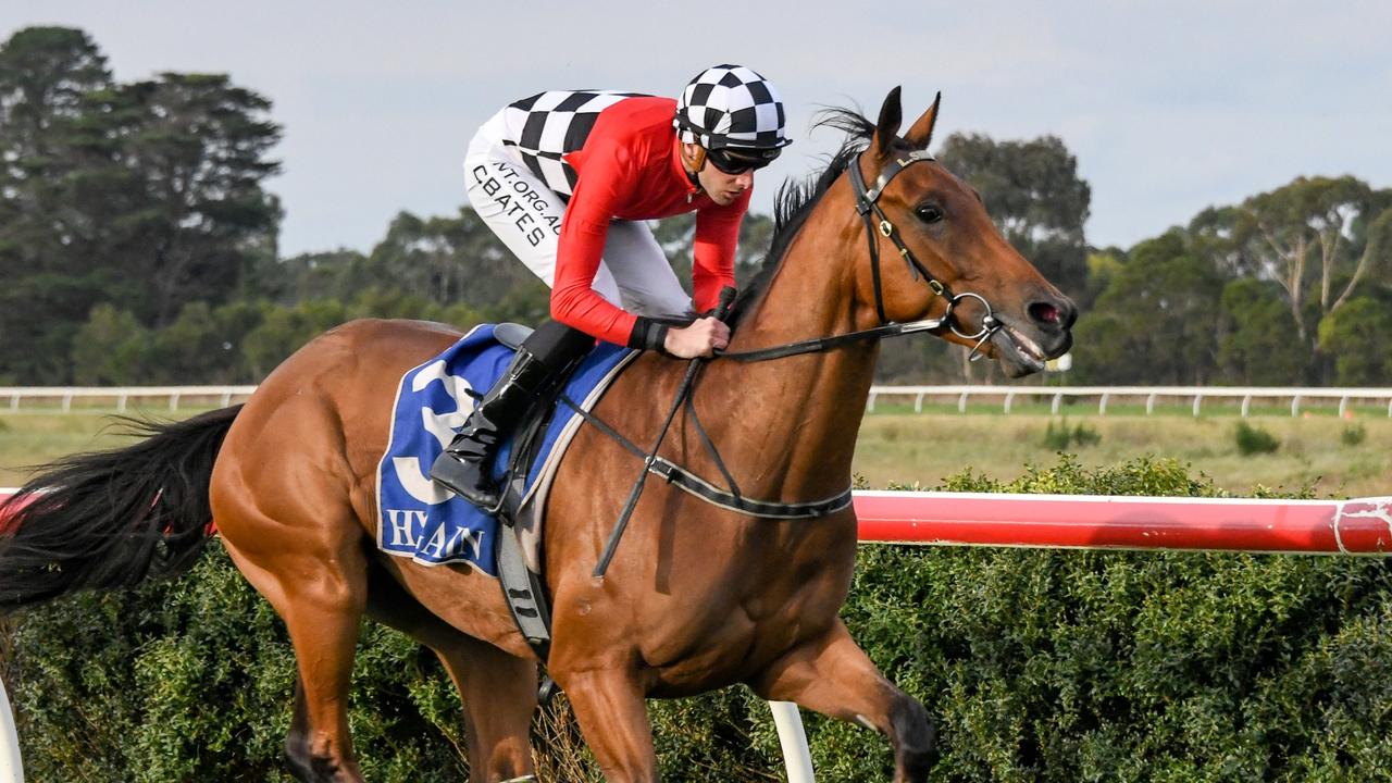 Horse racing tips: Early Oil, analysis and best bets for Flemington ...