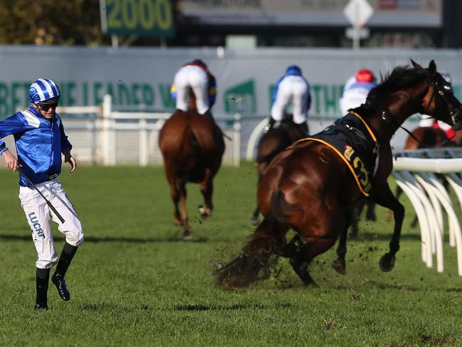 Almoonqith ridden by James Doyle (in blue) breaks a leg during the Sydney Cup at Randwick Racecourse on Saturday. Picture: Craig Golding.