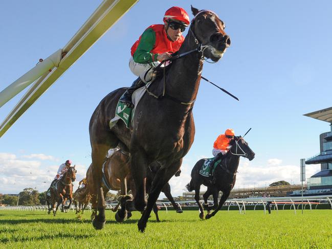 Zonk proves too good at Royal Randwick earlier this month.