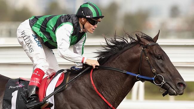 Cox Plate winner Shamus Award meets Melbourne Cup hero Fiorente in the Australian Cup.