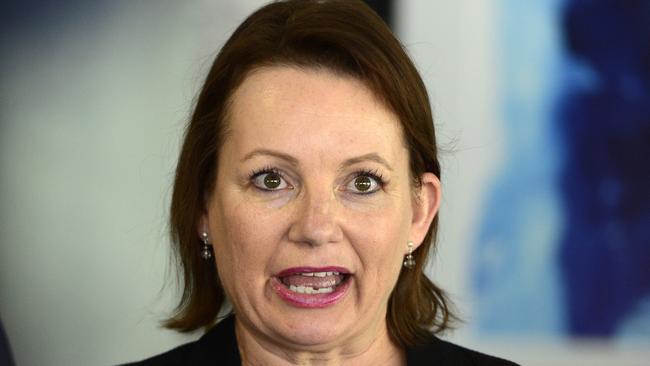 Pressure is mounting on federal Health Minister Sussan Ley. Picture: Wesley Monts