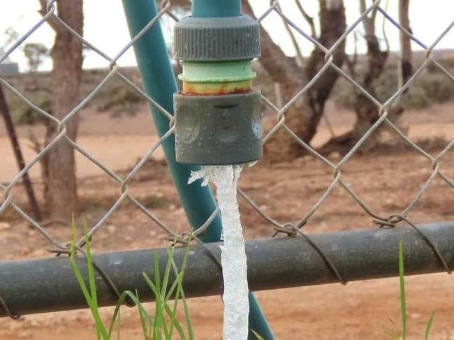 A woman found her hose frozen just east of Burra in the state's Mid-north. Picture: Jane Hill