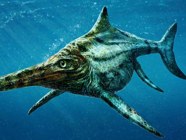 Before dolphins, reptilian ichthyosaurs lived in the the sea that covered Australia. Picture: Todd Marshall