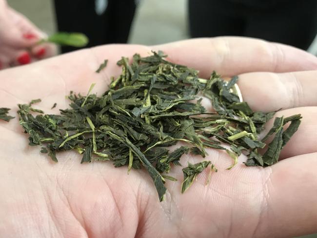 High grade green tea leaf from Kunitaro Green Tea plantation at Mangrove Mountain. Picture: Cathy Stubbs