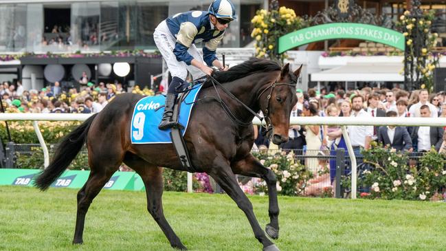 Nadal could bounce back from a luckless Flemington run when he tackles The Meteorite at Cranbourne. Picture: Racing Photos via Getty Images