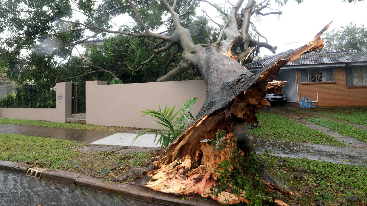 Cyclone insurance claims soar