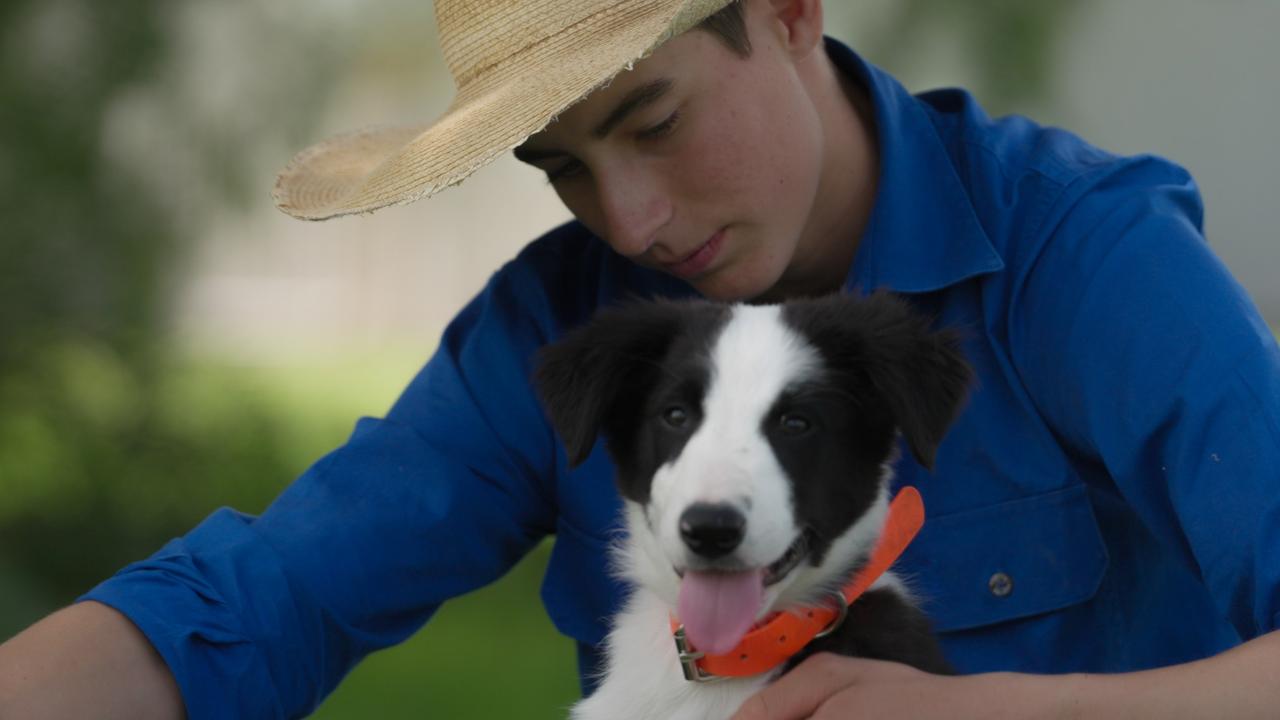 Nathan Obst, 17, is the youngest contestant in the 2025 series of ABC’s Muster Dogs, but is described as a “self-assured and experienced dog trainer”.