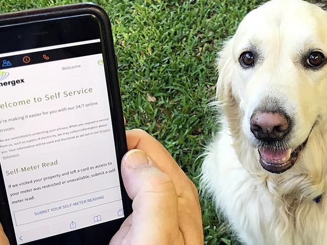 Energex offers a self-reading option if your pooch is overprotective.