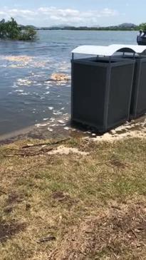 King tide: River Street in Mackay