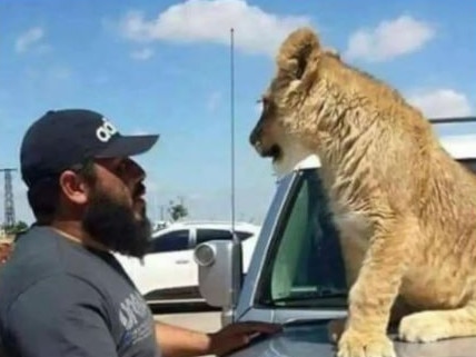 Talal Dakkak reportedly fed Syrian prisoners to his pet lion. Picture: Supplied