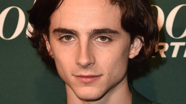 Timothee Chalamet stars in Call Me By Your Name.