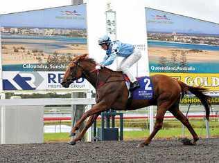 Mitchell Wood steers Gaze On to win the Roy Higgins & Wylie Dalziel Racing Handicap over 1600m at Corbould Park. Picture: Warren Lynam