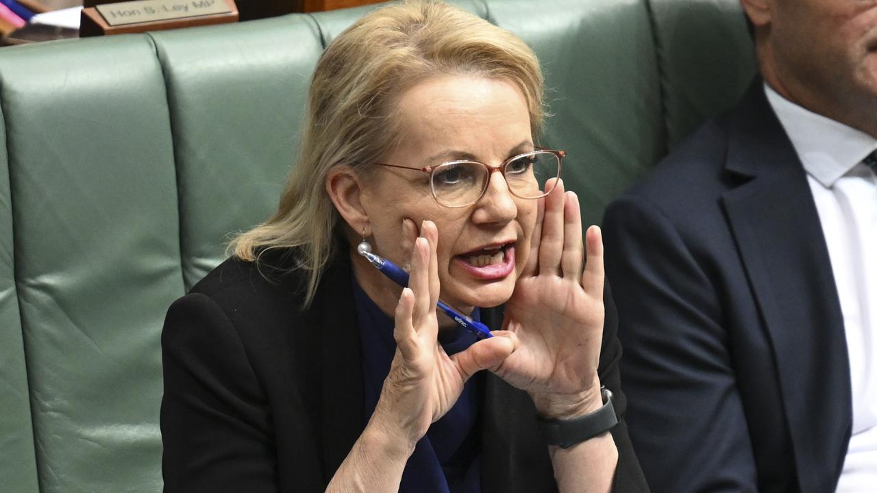 Deputy opposition leader Sussan Ley. Picture: Martin Ollman/NCA NewsWire