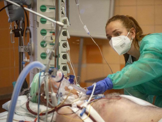 A nurse treats a patient infected with the coronavirus (Covid-19) in an intensive care unit (ICU) in the General University Hospital in Prague on January 26, 2022. - Doctors treating Covid patients at a Prague hospital have shed their once mandatory protective suits, claiming that bacteria clinging to their sleeves actually increased mortality. (Photo by Michal Cizek / AFP)